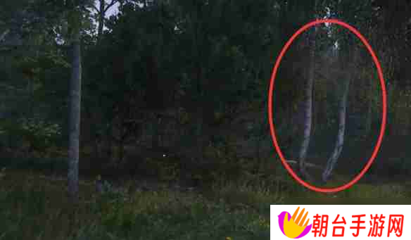 天国拯救2跟班任务怎么做 天国拯救2任务跟班流程详细图文版