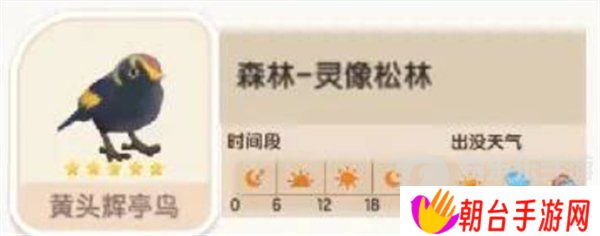 心动小镇黄头辉亭鸟在哪出没 黄头辉亭鸟位置