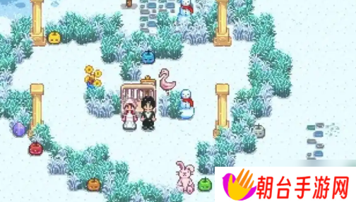 星露谷物语结婚条件是什么-结婚条件介绍