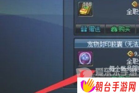 地下城与勇士起源宠物封印胶囊怎么用 宠物封印胶囊使用方法