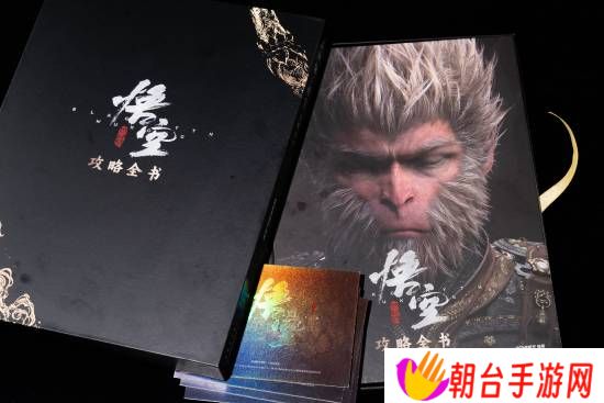 本站