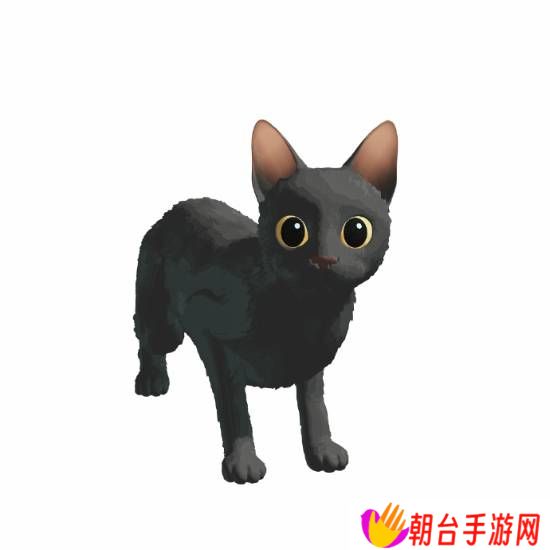 本站