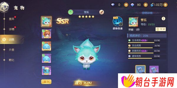 天启圣源宠物搭配攻略 天启圣源宠物怎么搭配好