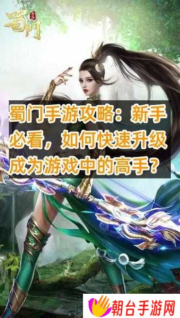 蜀门手游中如何快速切换不同游戏模式?新手必看的详细操作指南与技巧分享
