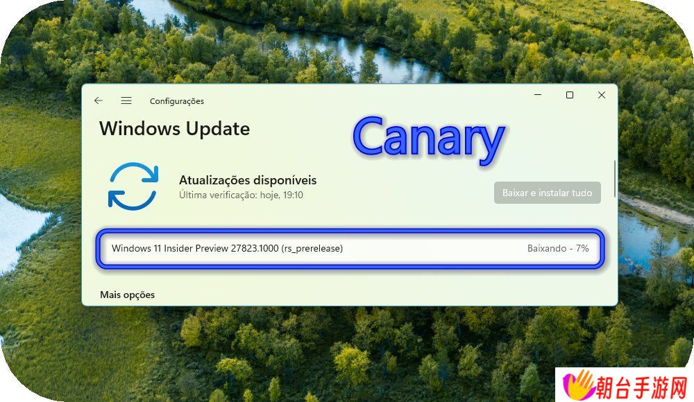 微软 Win11 Canary 27823 预览版发布：设置引入系统信息卡片，修复文件管理器菜单方向错开问题