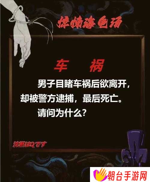 你敢挑战海龟蘑菇汤黑色钱包终极谜题？全关卡答案攻略大揭秘，破解隐藏线索赢取神秘奖励