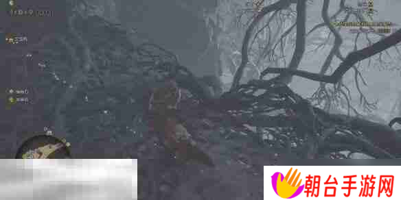 怪物猎人荒野大虚无动在哪 大虚无动位置及捕捉方法介绍