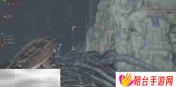 怪物猎人荒野大虚无动在哪 大虚无动位置及捕捉方法介绍