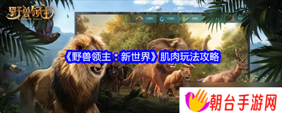 野兽领主新世界什么是肌肉玩法 野兽领主新世界肌肉玩法大全介绍2025