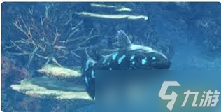 怪物猎人荒野化石腔棘鱼垂钓位置在哪