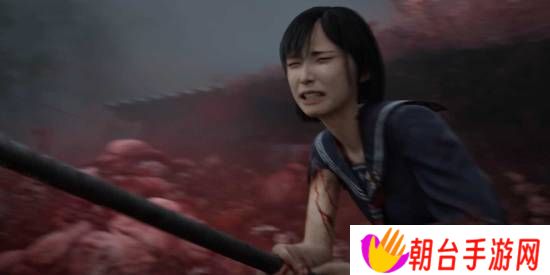 本站