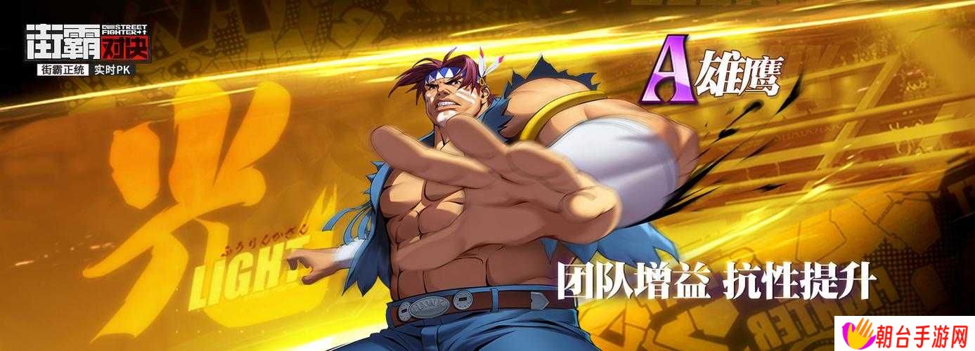 街霸对决雄鹰阵容搭配绝了！这套组合直接封神
